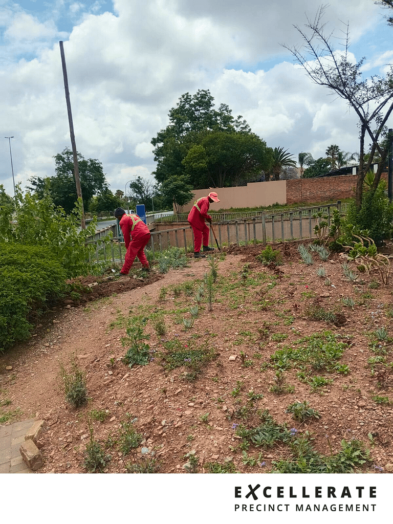 The Structure Behind Success